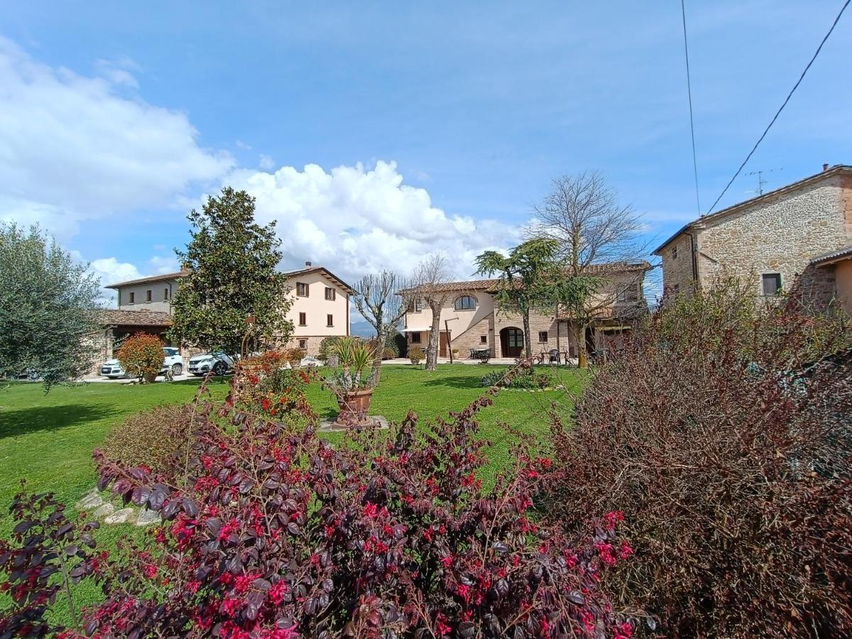 Podere Casenove Citerna Extérieur photo